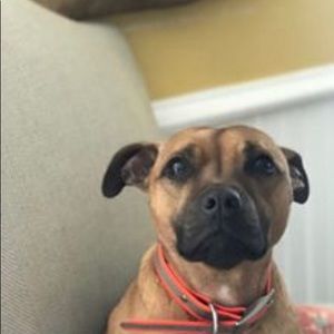 Meet your Posher, Tracy